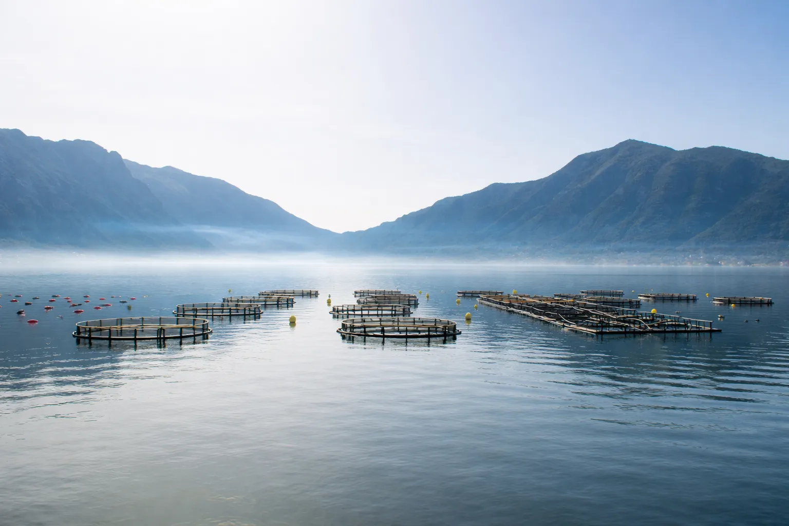 Aquaculture — ropes and nets
