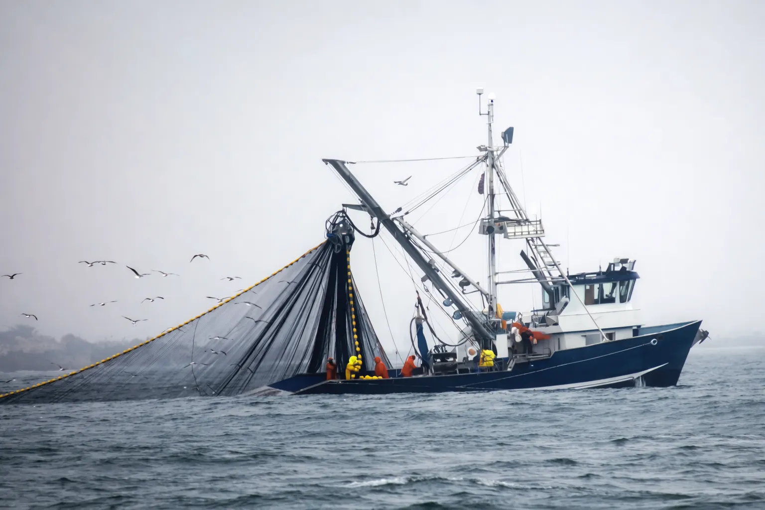 Fishing — ropes and nets