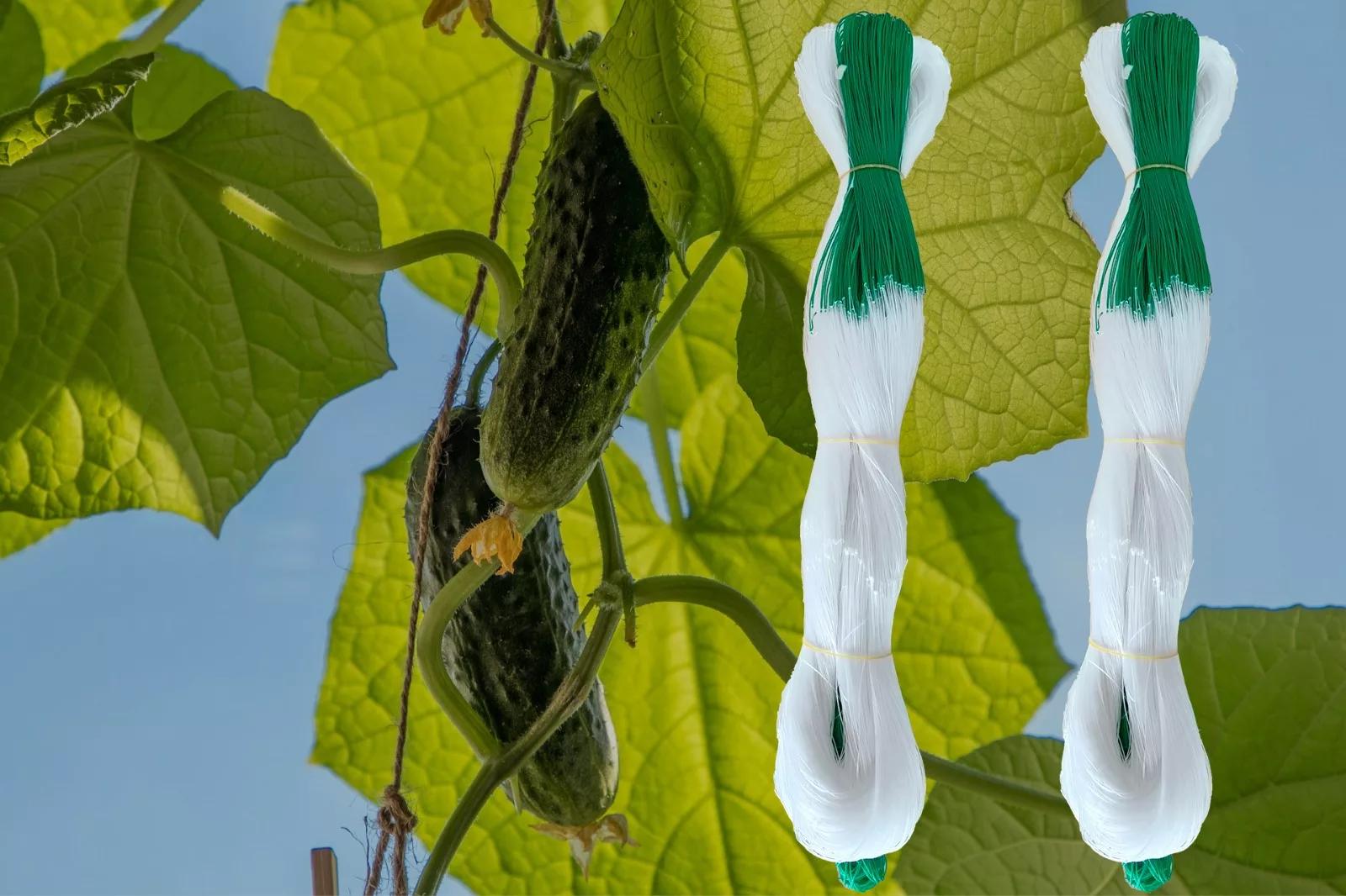 Cucumber Nets